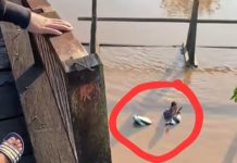 Pengendara Sepeda Motor Tercebur dari Atas Jembatan di Anjir Kalampan