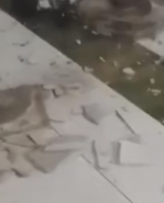 Sampit Kalteng Diguncang Gempa Dini Hari Tadi