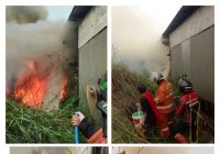 Kebakaran Lahan di Semangat Dalam Handil Bakti Hanguskan Rumah Warga