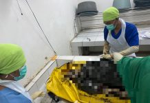 Mayat Mr X Mengapung di Perairan Bunati, Kenakan Gelang PT Darma Lautan Utama dan Angka 149379