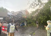 Hujan deras Disertai Angin Kencang di Sungai Mesa Banjarmasin Tumbangkan Pohon dan Menimpa Bangunan
