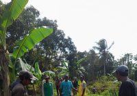 Jalan Pertanian Desa Tangkas Kabupaten Banjar 12 Tahun Rusak, Petani Sering Kesulitan ke Sawah