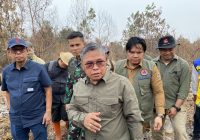 Wamen LHK Alue Dohong: Akan Tangani Intensif Karhutla di Kalsel Hingga 2 Pekan ke Depan