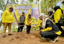Hijaukan Bumi, Pemprov Kalsel Tanam Ratusan Bibit Pohon Ulin di Pulau Ulin