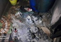 Api Nyaris Berkobar di Kompleks Tawakal Asri Gambut, Ini Gara-garanya