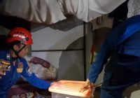 Ngeri! Ular Kobra Masuk ke Kamar Tidur Rumah Dewi di Jalan Gotong Royong Handil 1 Gambut