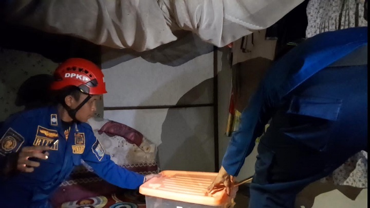 05112023_Personel DPKP Kabupaten Banjar berhasil mengevakuasi ular kobra yang masuk ke rumah warga di Handil 1 Gambut. (wartabanjar.com - Ist. DPKP Banjar)