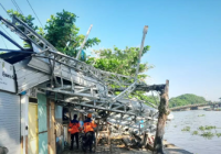 Pohon Tumbang Hancurkan Kanopi Warung di Eks Wisata Kuliner Banjarmasin