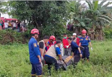 Penemuan Mayat Membusuk di Rawa Dekat SPBU Astambul