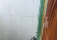 Viral! Pria Muda Meninggal Dunia di Masjid Saat Sujud Shalat, Terjadi di Gresik