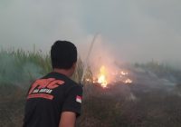 Karhutla di 3 Desa, BPBD Banjar Sulit Padamkan Api di Desa Pejambuan