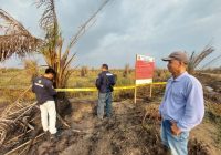 Buntut Karhutla, GAKKUM KLHK Segel Dua Lahan Sawit di Kabupaten Banjar