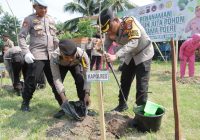 Serentak Revolusi Hijau, Polres Banjar Tanam 100 Pohon Tanjung