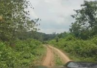 Berikut Foto-Foto Kondisi Terbaru Jalan Banjarbaru-Batulicin, Ada Tanjakan 'Gunung Papua'