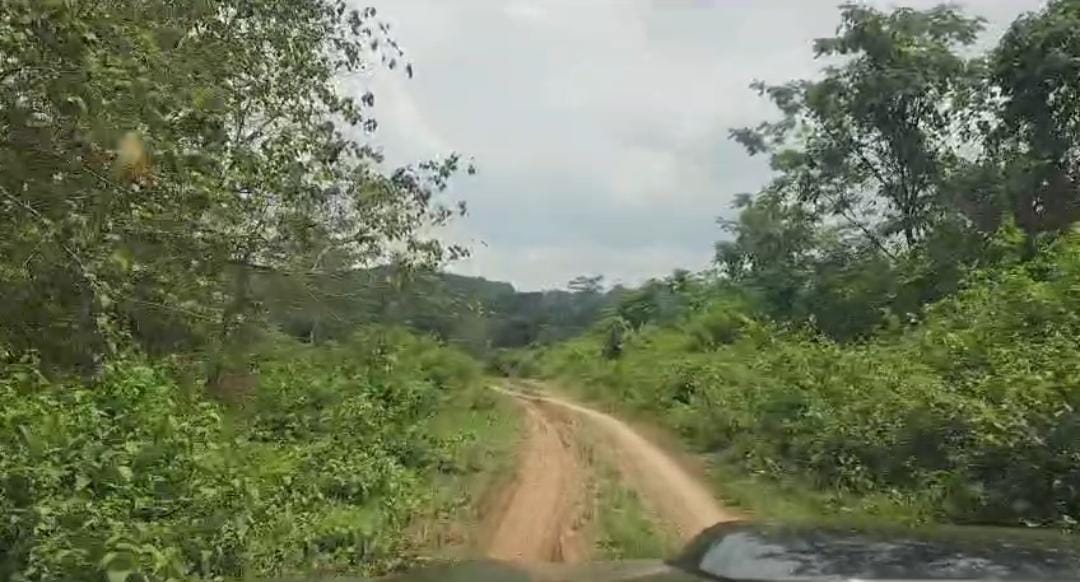 Berikut Foto-Foto Kondisi Terbaru Jalan Banjarbaru-Batulicin, Ada Tanjakan 'Gunung Papua'