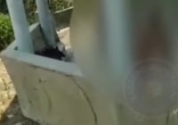 Video Muda Mudi 'Wikwik' di Pemakaman Viral