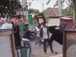 Suporter Ricuh di Luar Stadion Widya Manggala Krida