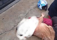 Kecelakaan Lalu Lintas di Kampung Melayu Banjarmasin, Pelajar Terluka di Bagian Kepala
