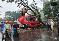 Pohon Tumbang Menimpa Tangki Pertamina di Jalan Belitung Darat Banjarmasin