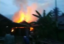 Data Kebakaran di Desa Mahang Matang Landung HST