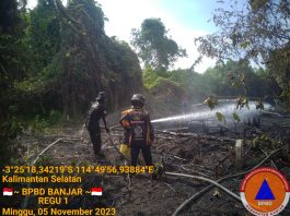 Dua Ular Sawa Turut Terpanggang Saat Kathutla, ini Kata BPBD Banjar
