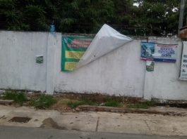 Kesadaran Warga Meningkat, Kini Tepi Jalan Desa Tanjung Rema Bebas dari Tumpukan Sampah