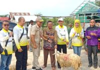 Disnakertrans Kalsel Beri Bantuan Ternak Domba Warga Desa Lajar Papuyuan Balangan