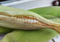 Stop Buang Rambut Jagung, Simak Manfaatnya bagi Kesehatan