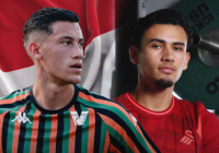 Komisi X DPR RI Setujui Naturalisasi Jay Idzes dan Nathan Tjoe-A-On