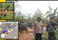 Krimsus Polres Banjar dan Dishut Kalsel Razia Tambang Emas di Tahura, 5 Orang Diamankan