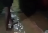 Warga Desa Alat RT 1 Hantakan HST Panik, Air Mulai Masuk Rumah