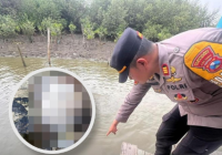 Geger Penemuan Potongan Payudaya di Rawa Benowo, Polisi Ungkap Fakta Ini