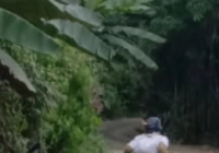 Beredar Video Diduga Aksi Perampokan di Mantuyan Halong, Korbannya Wanita