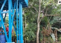Pemasangan KWh Pamsimas Desa Bawahan Seberang, Pambakal Berharap Tingkatkan Perekonomian