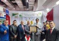 69,81% Ekspor Indonesia ke Mesir Didominasi Produk Pangan Halal