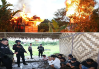 Polda Sumut Bumihanguskan Gubuk Judi dan Narkoba