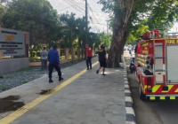 Monyet Liar Serang Warga Mentaos Banjarbaru Belum Tertangkap