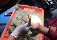 Gara-gara Cincin, Wanita Sungai Lulut Ini Terpaksa Panggil Petugas Damkar