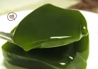 Jarang Diketahui, Manfaat Cincau Hijau untuk Kesehatan