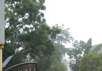 Pohon Tumbang depan Masjid Al Karomah Martapura, Tutupi Jalan A Yani