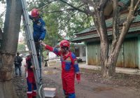 Pasar Sekumpul Geger Ada Ular di Atas Toko
