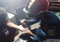 Jari Abdul Malik Bengkak Ditangani DPKP Banjar