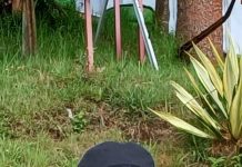 Pengamat Konstruksi Ragu Pengecoran Manual Sesuai Mutu, Terkait Peningkatan Jalan Kompleks Pergudangan Bulog di Banjarbaru