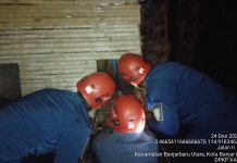 Temuan Ular Gegerkan Warga Desa Padang Panjang