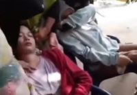 2 Petugas Penagih Utang Terkapar Digigit Anjing