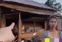Viral Perkelahian depan Warung Jalan Gubernur Syarkawi