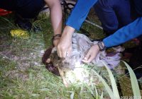 Kucingnya Terjebak di Gorong-gorong Sumur 6 Meter, Helma Langsung Lapor DPKP Banjar