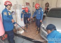 Ular Kobra 30 Sentimeter Ditemukan di Garasi Mobil Abdul Mujib di Sekumpul Martapura
