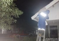 Tawon Bersarang di Atap Rumah Warga di Sungai Sipai, Surya Langsung Lapor DPKP Banjar