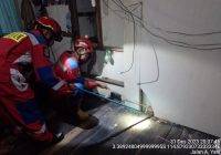 Ular Piton 50 Sentimeter Bersarang di Dinding Rumah Nasrullah di Martapura Timur